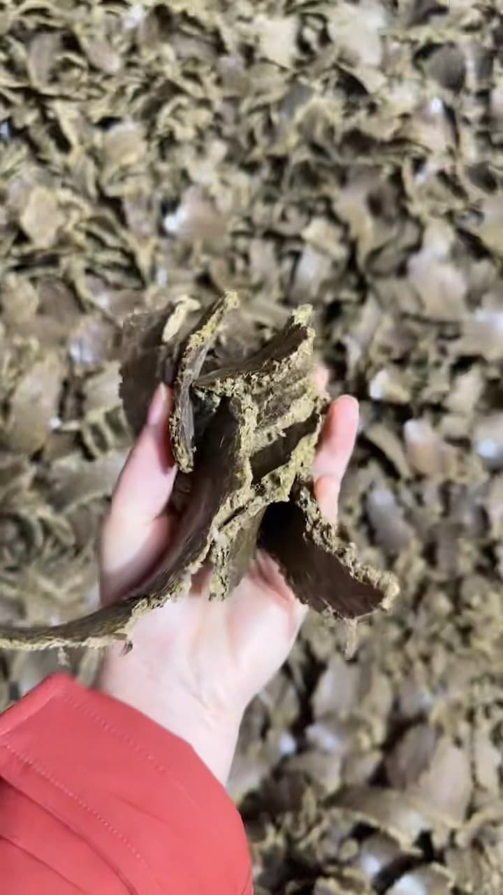 油枯