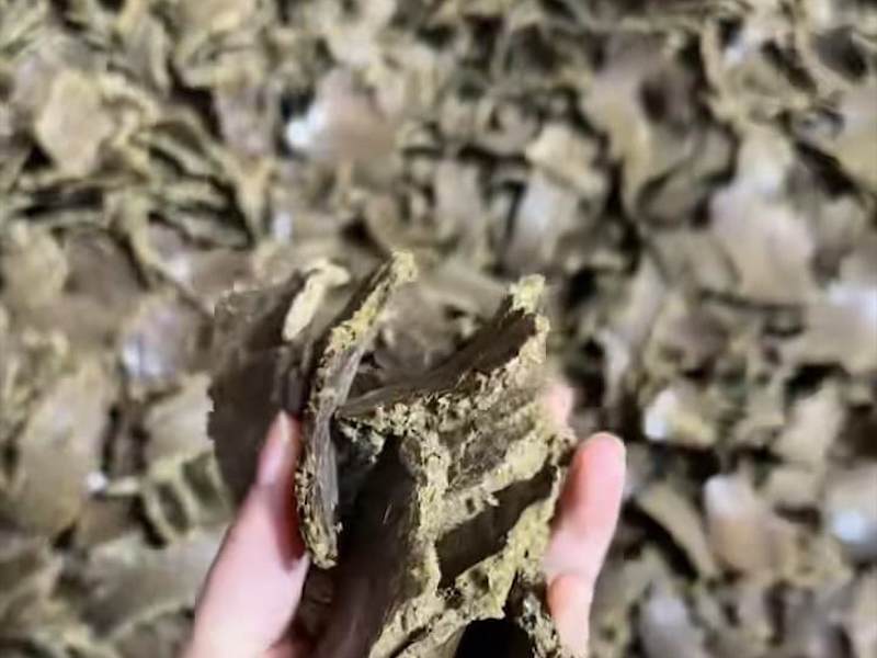 油枯