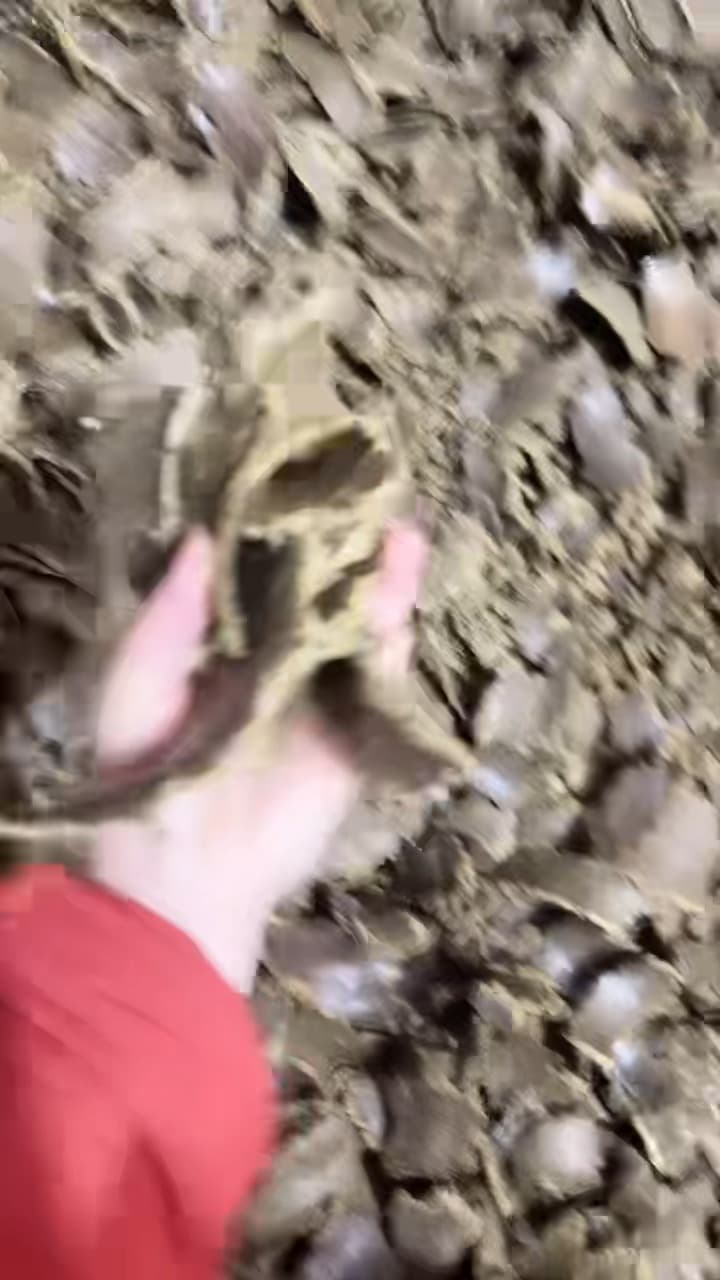 菜籽饼水产饲料