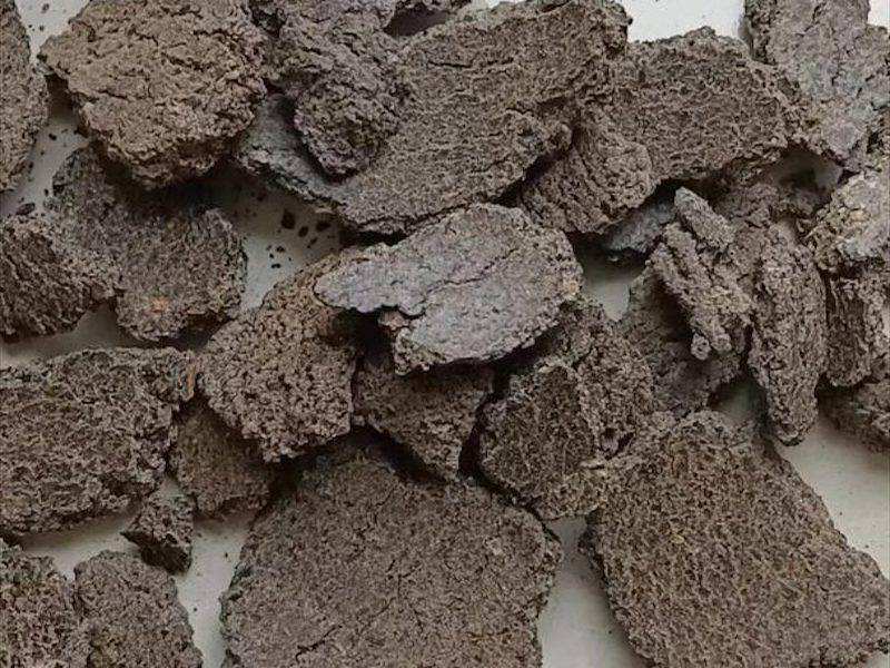 发酵蓖麻饼
