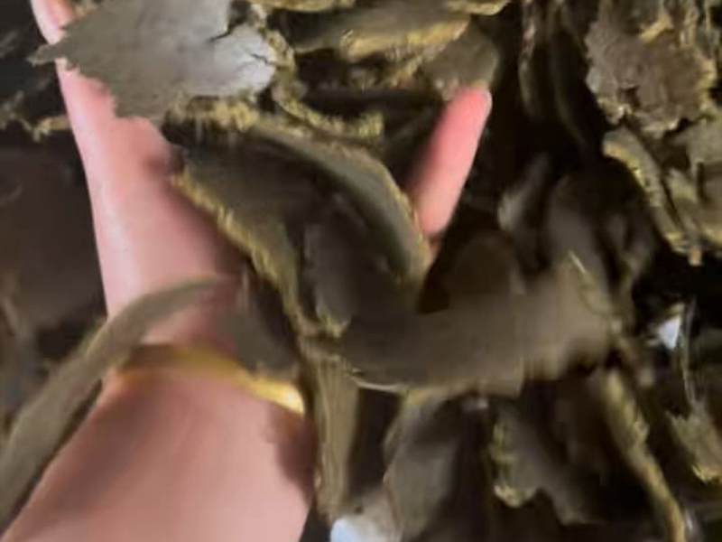 菜枯