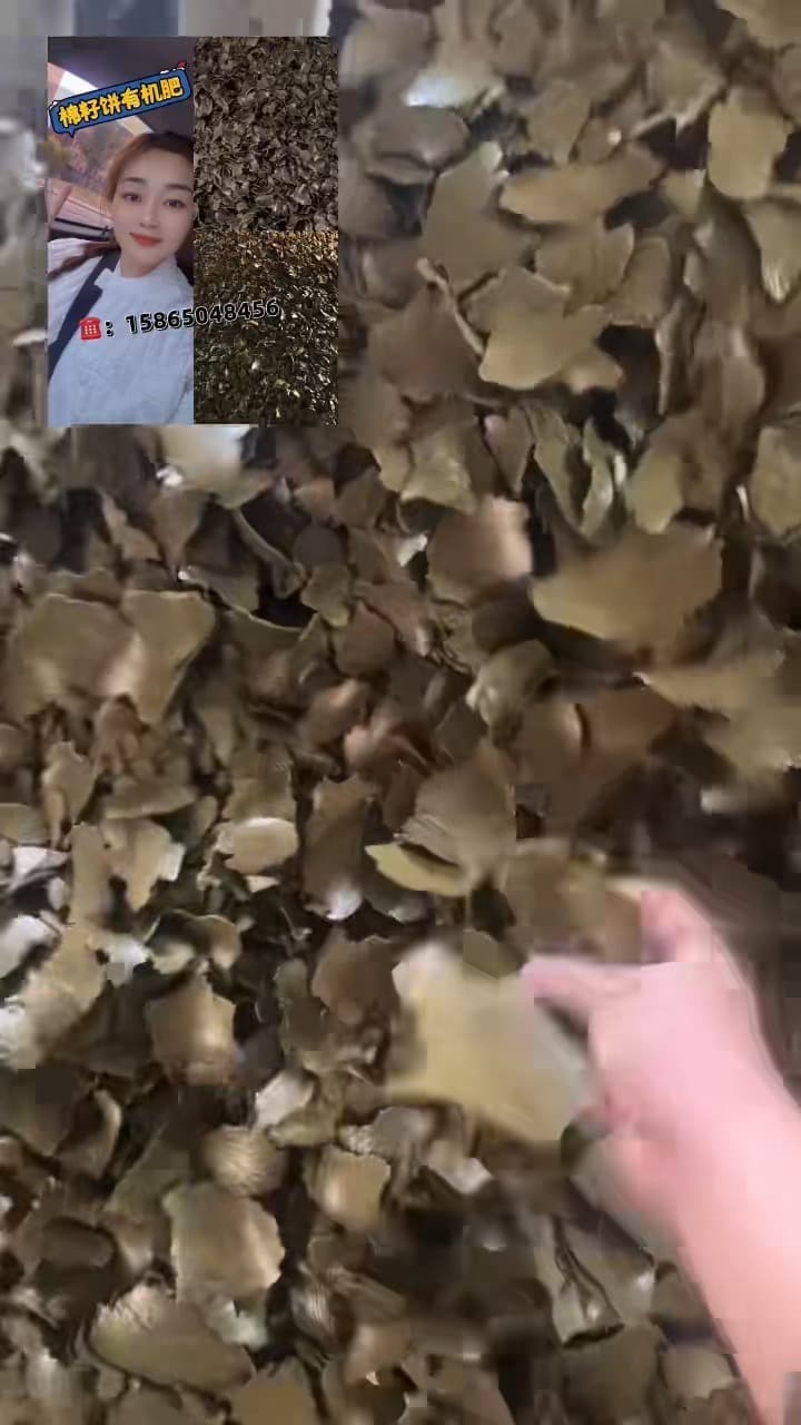 菜枯