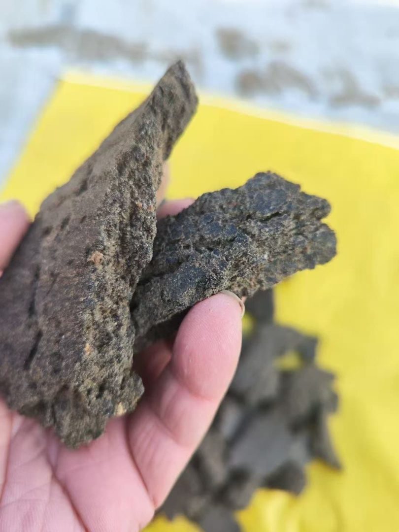 春耕蓖麻饼肥
