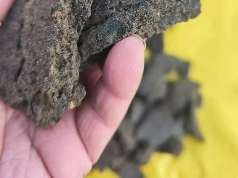 春耕蓖麻饼肥