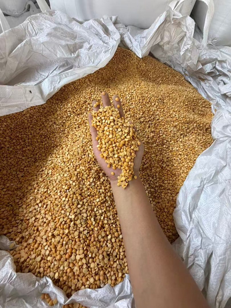 自然发酵黄豆