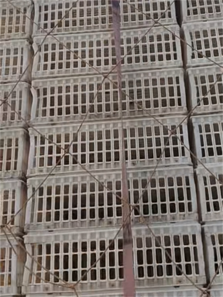 塑料筐回收