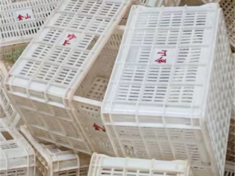 塑料蔬菜筐回收