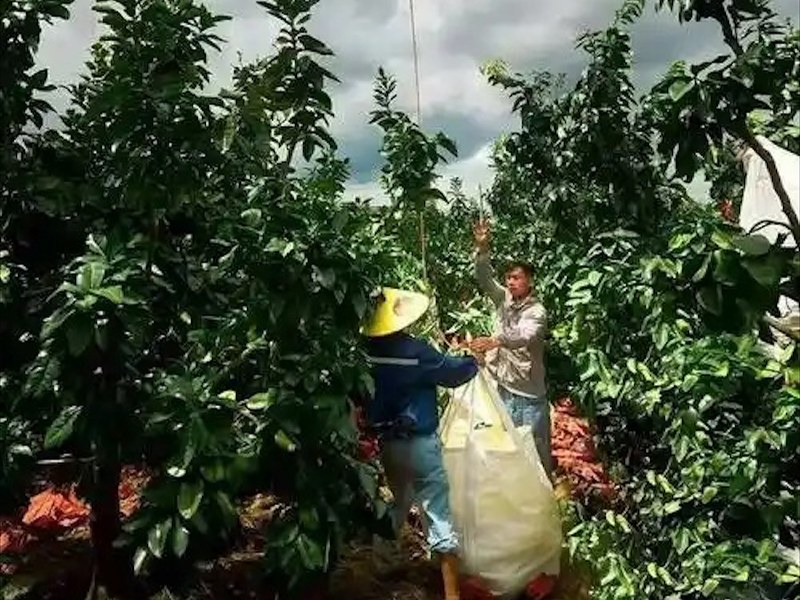 保定市无人机吊运混凝土