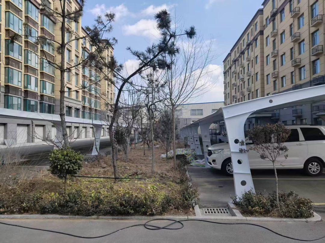 看台膜结构