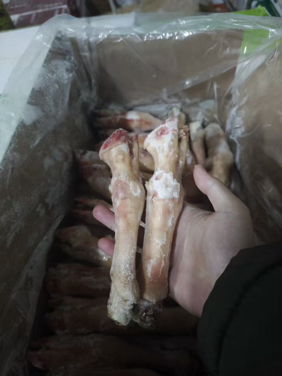 齐齐哈尔市冷冻羊蹄
