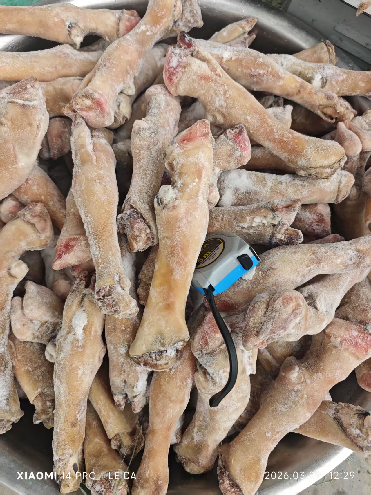 汕头市羊蹄子