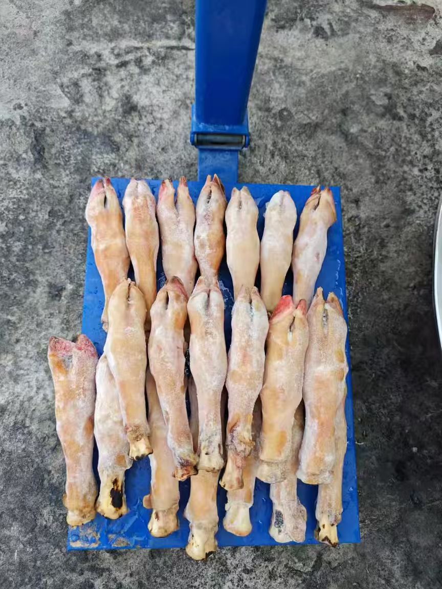 火烧羊蹄