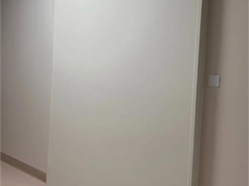 电动感应铅门