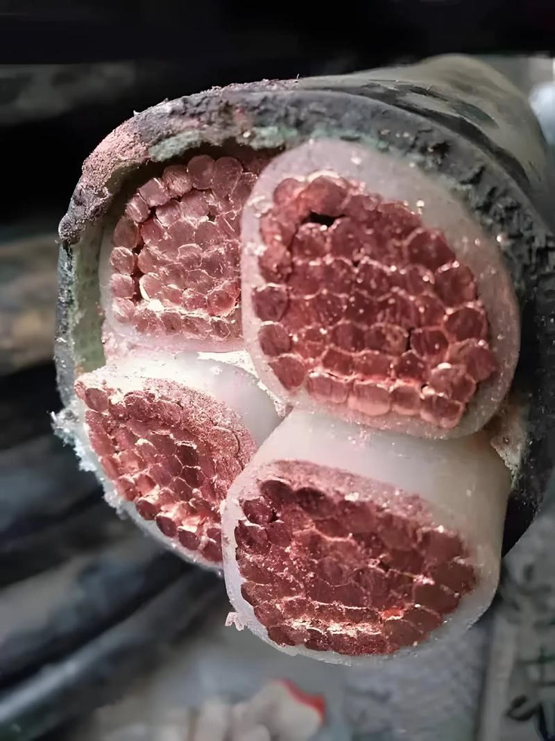 整厂电线电缆回收