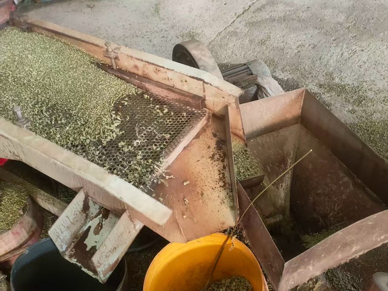 再生塑料颗粒样品
