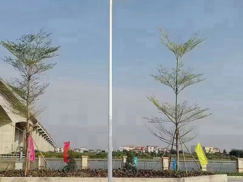 路灯安装实例
