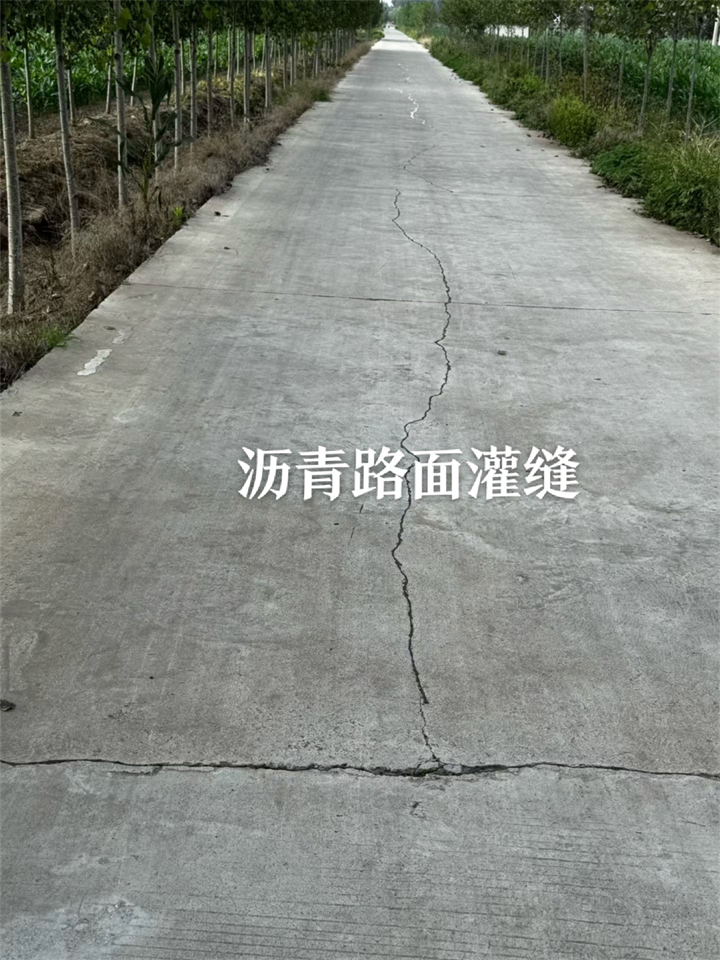 article_image