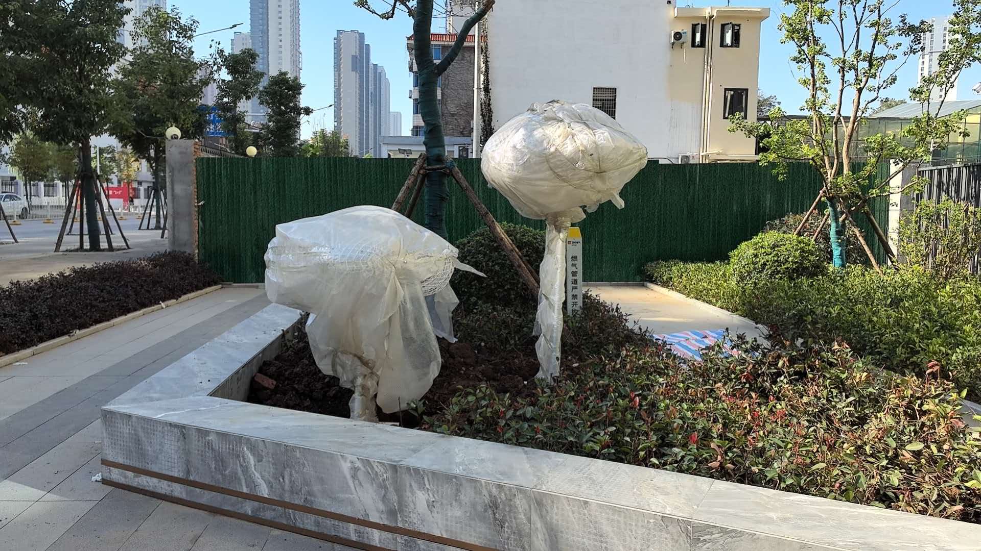 不锈钢雕塑