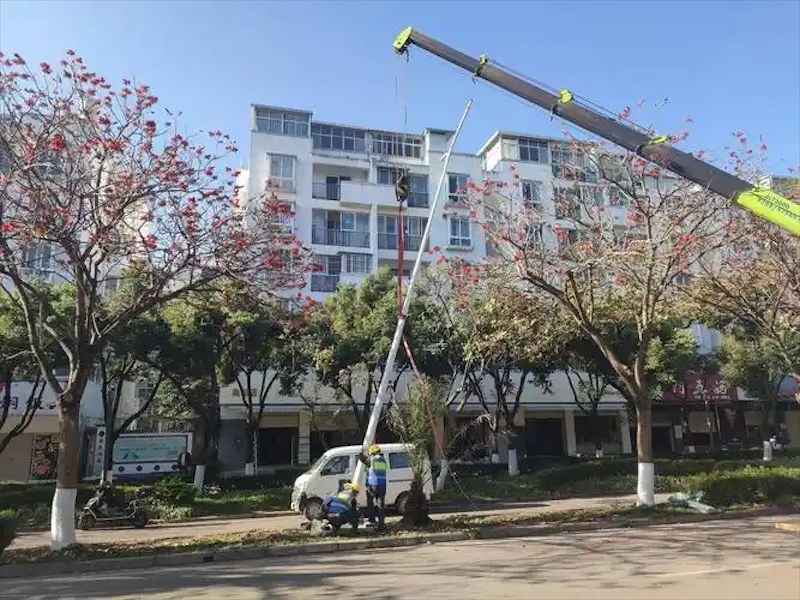 高低臂路灯
