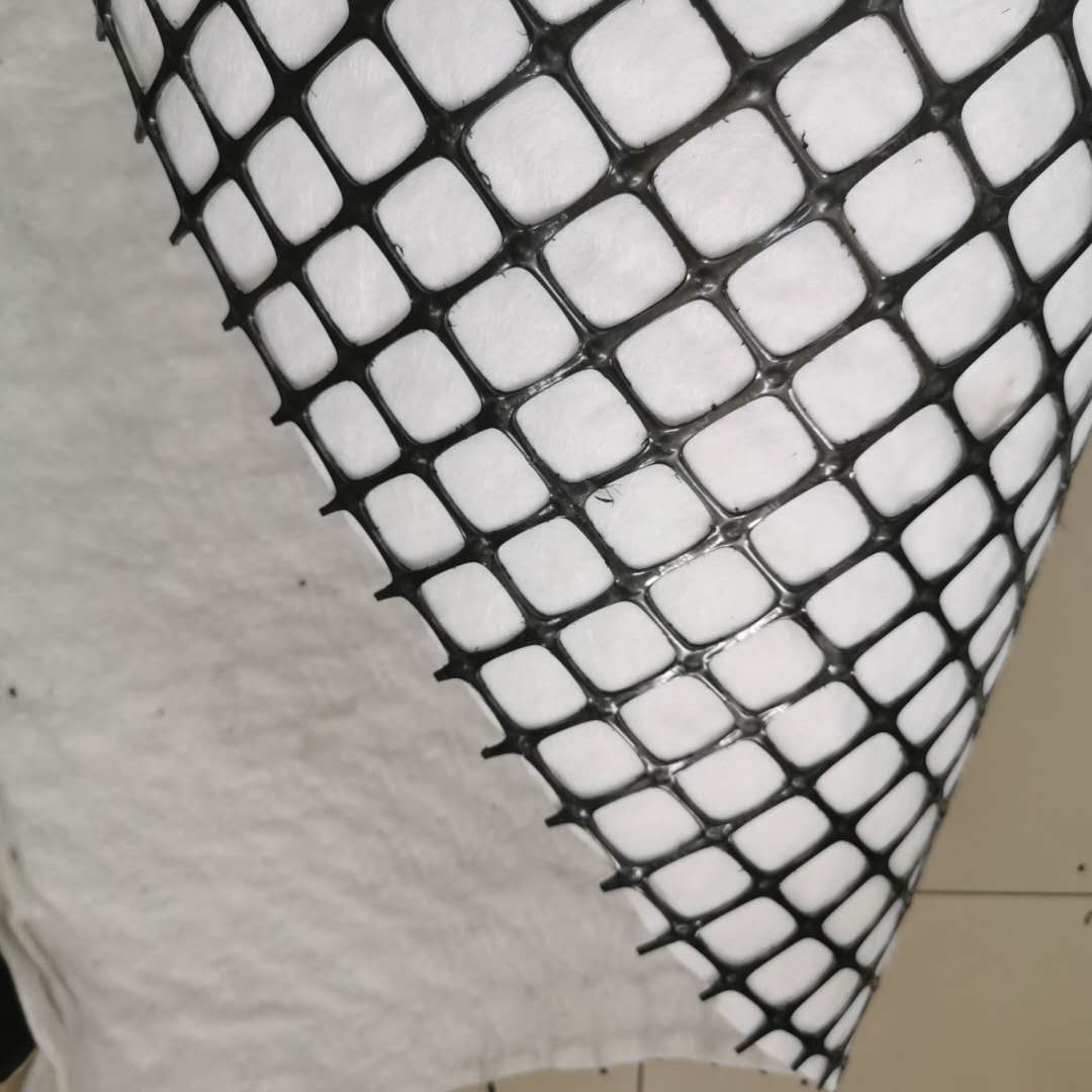 衢州市双向拉伸土工格栅