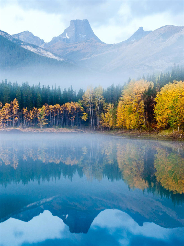 article_image