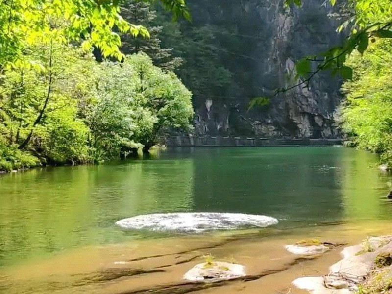 个体户注销