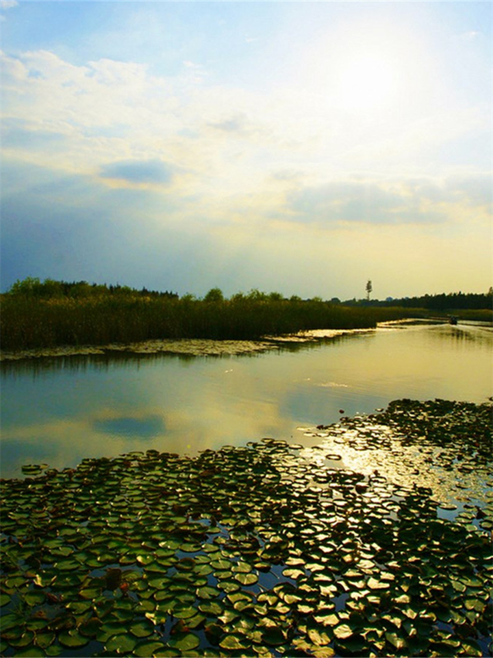 常州市新公司注册