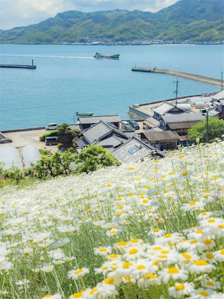 公司注销变更