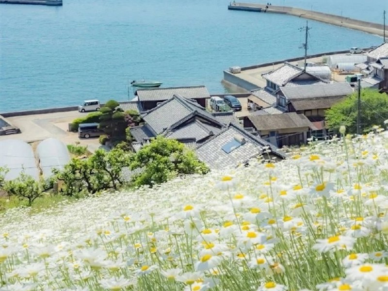 公司注销变更