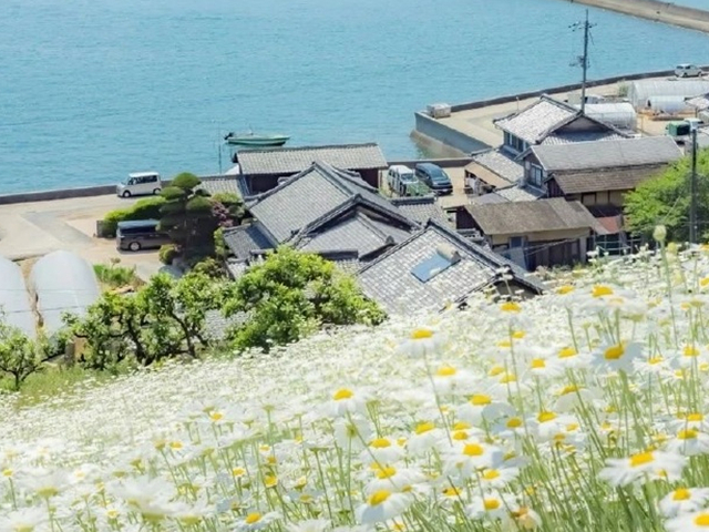 临沂市企业代理报税