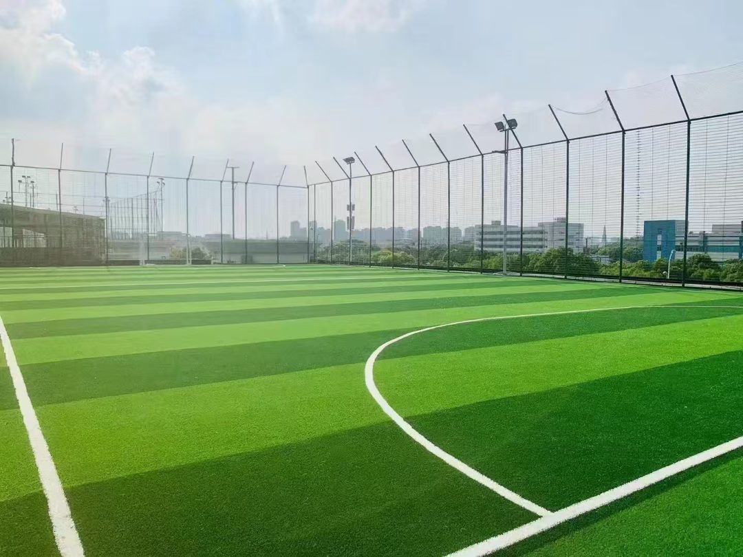 丽水市学校足球场人造草坪