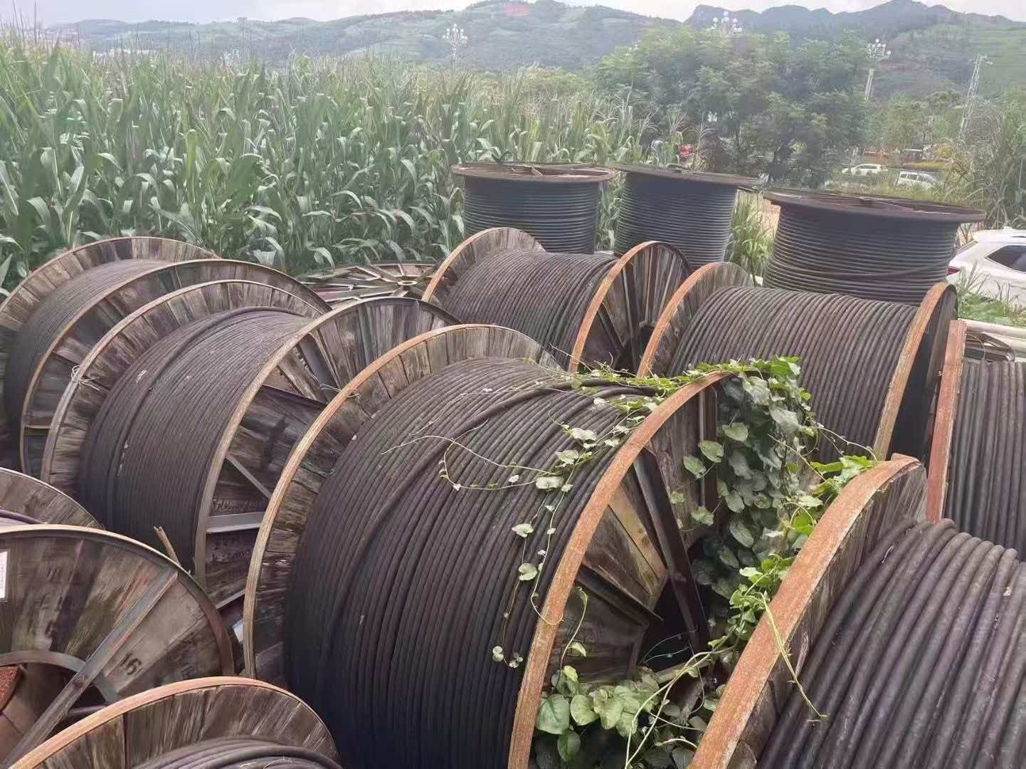 回收低压电缆