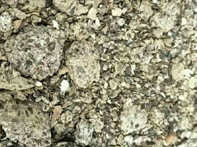 西安市豆粕有机肥