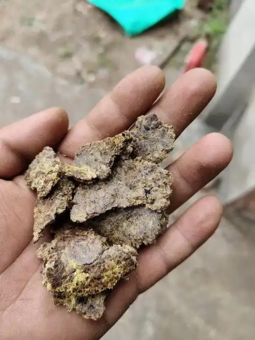 西安市豆粕肥料