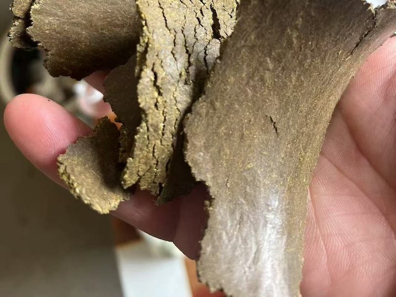 淮南市菜籽饼
