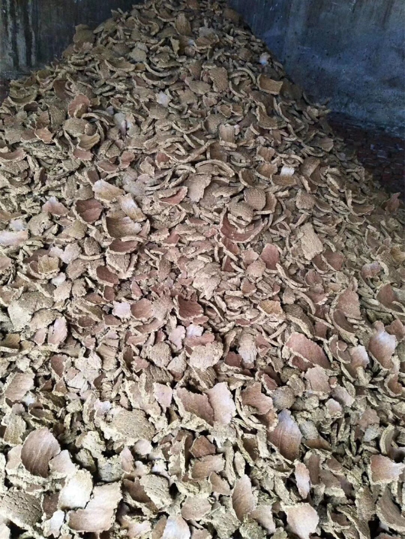 淮北市棉籽饼