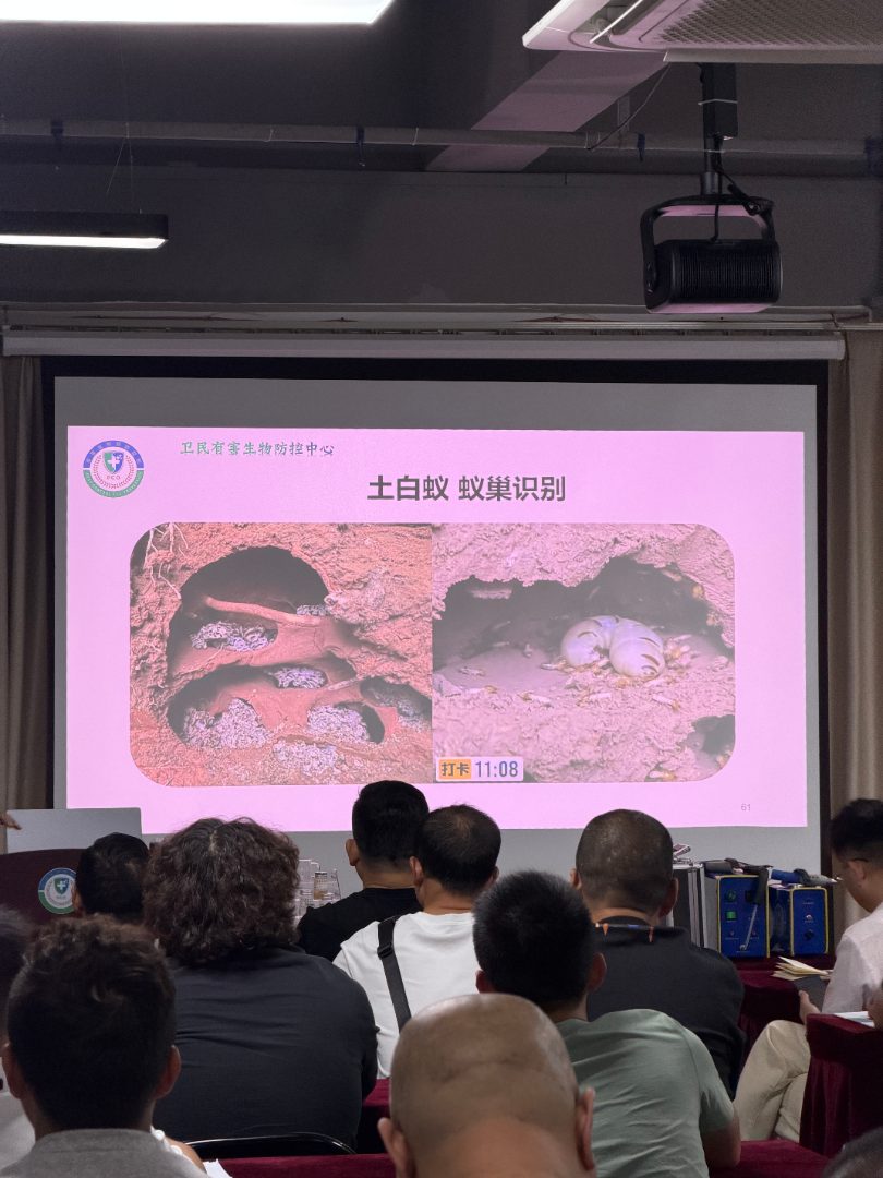 合肥市专业消杀培训