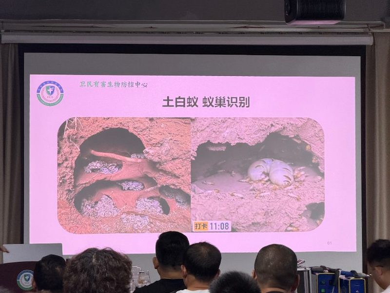 平凉市专业消杀培训