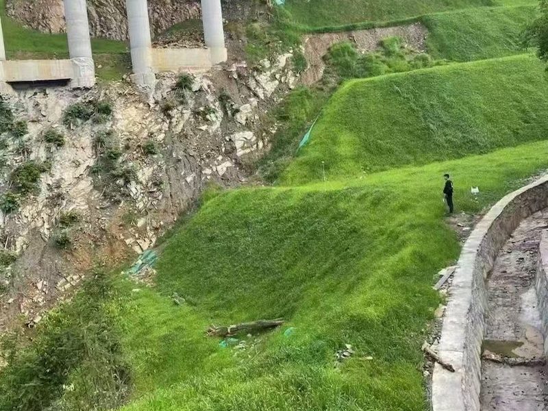 护坡草籽