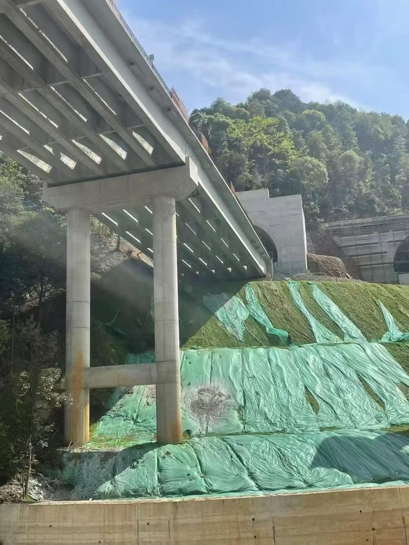 四季青护坡草籽