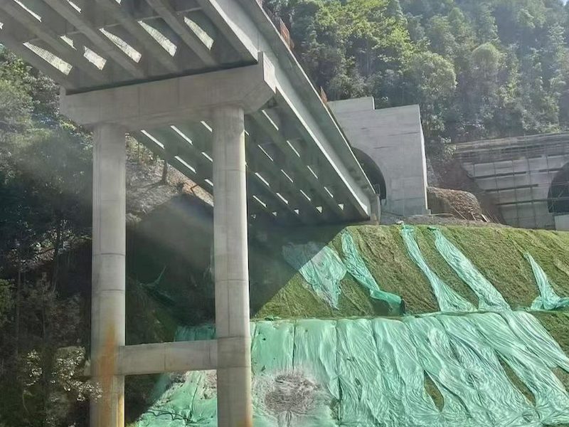 四季青护坡草籽