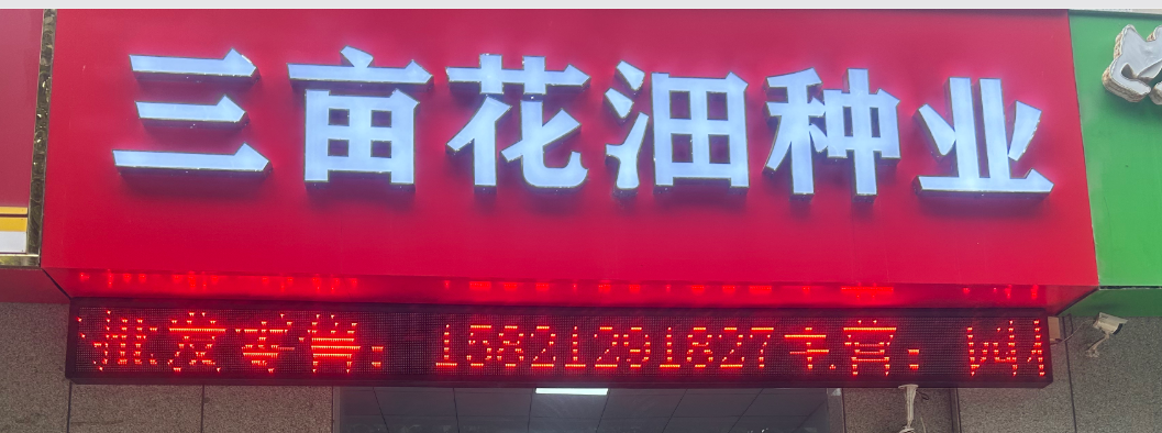 三亩花沺 良种培育基地一角