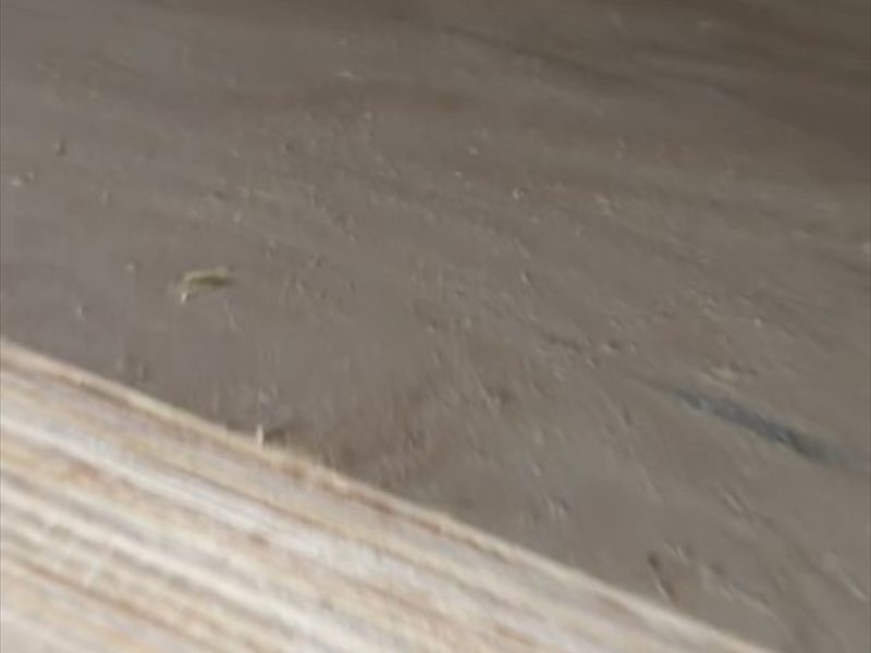 木箱包装板