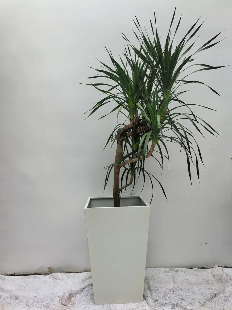 庭院花箱