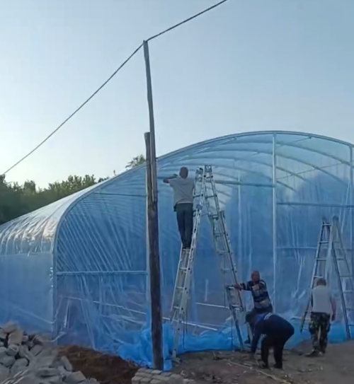 钢管大棚