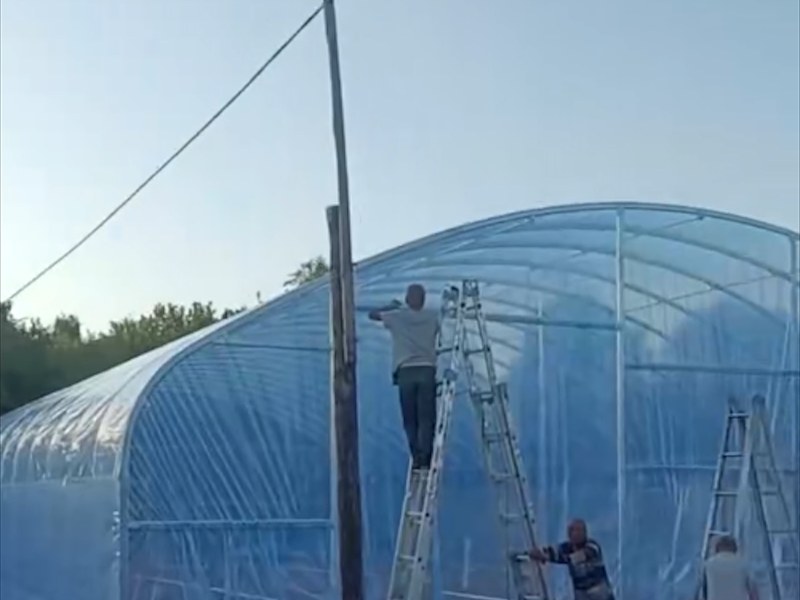 钢管大棚
