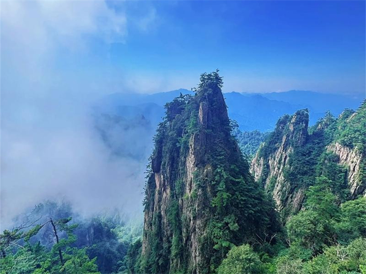 公司注册