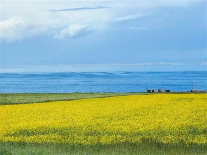 新公司注册