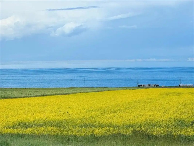 新公司注册