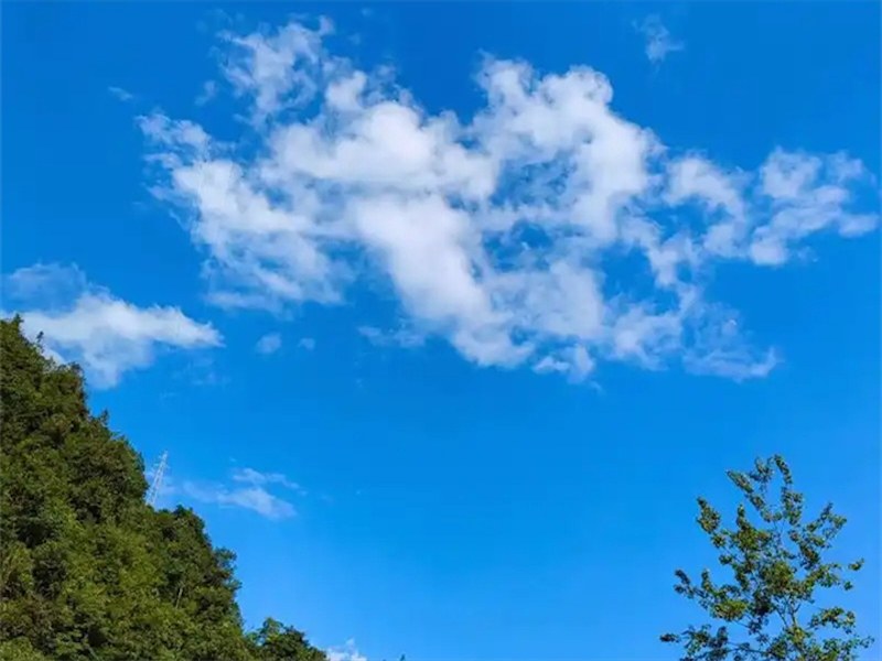 工商注册